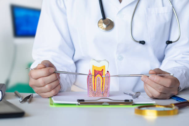 Best Emergency Treatment for Dental Infections or Abscesses in Butler Beach, FL